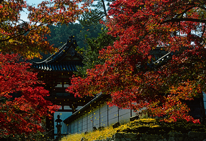 Amanosan Kongoji Temple