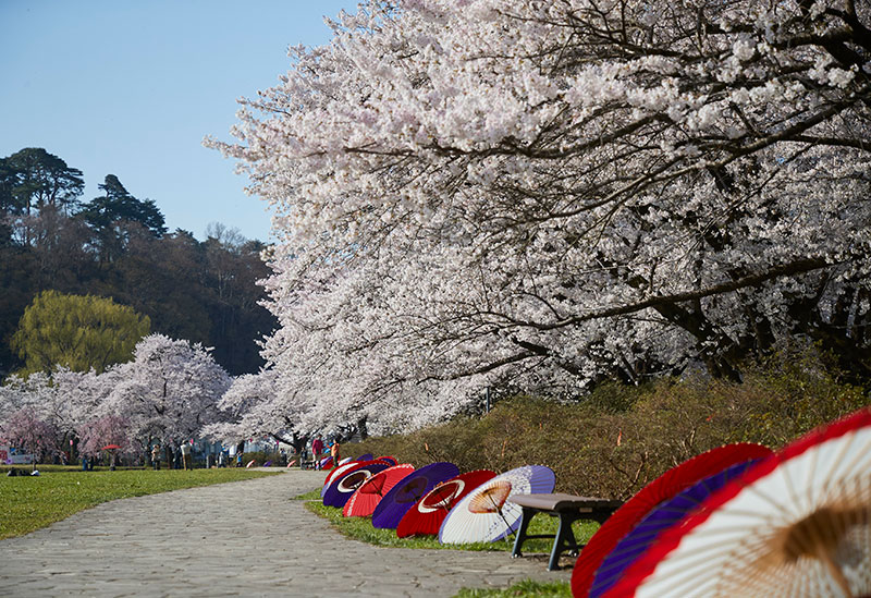 Tenshochi Park