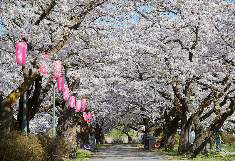 Tenshochi Park