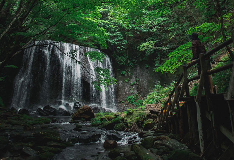 TREEHOUSE INAWASHIRO 