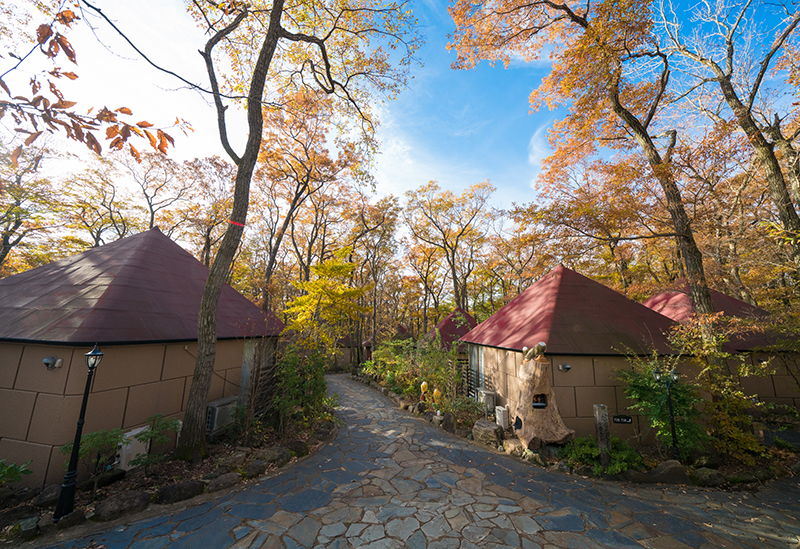 Hotel Sun Valley Nasu
