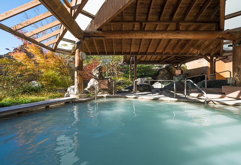 Hotel Sun Valley Nasu