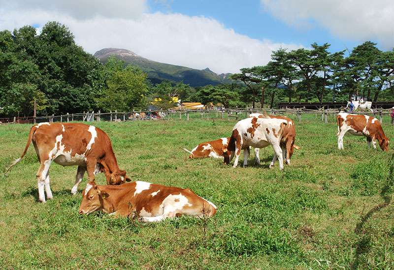 Nasu Highlands Minamigaoka Ranch