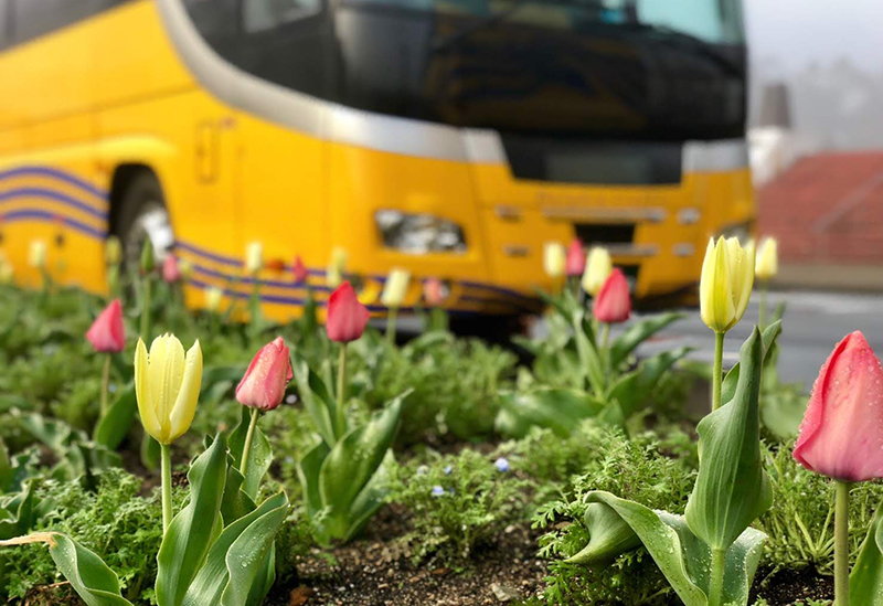 Iruka Transportation Co., Ltd.