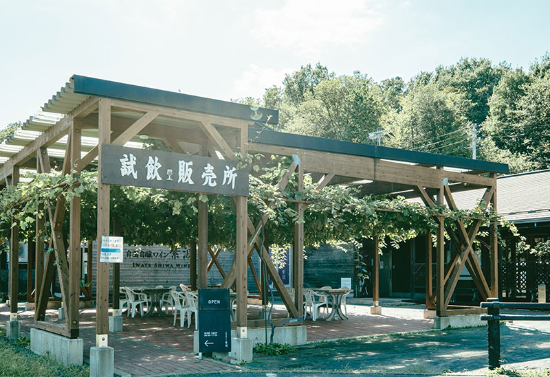 Home Brewed Wine Shiwa Winery