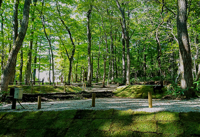 Pompoko no Mori Family Campsite