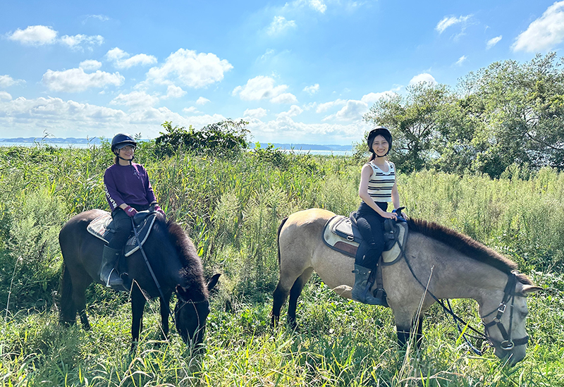 Misawa Horse Park