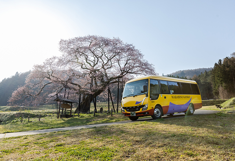 Warabino Tourism Co., Ltd.