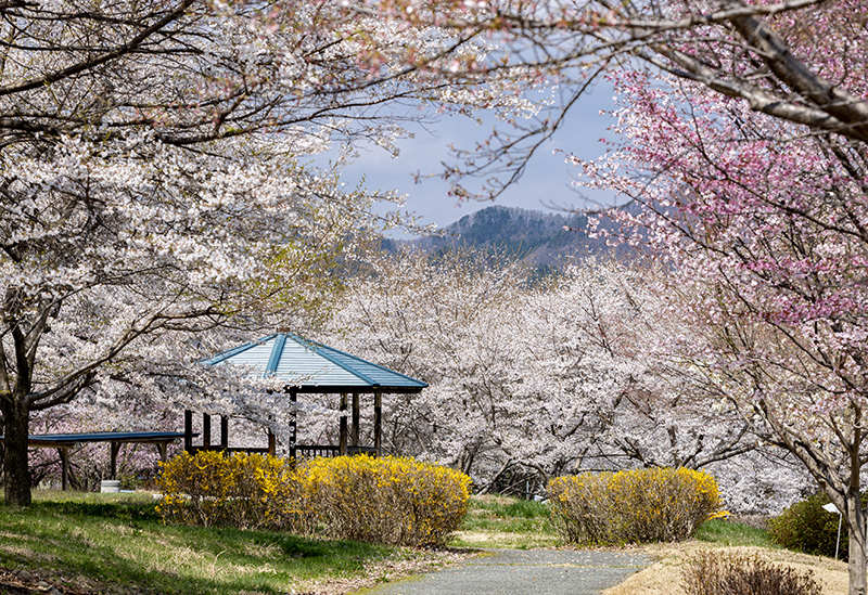 Warabino Tourism Co., Ltd.