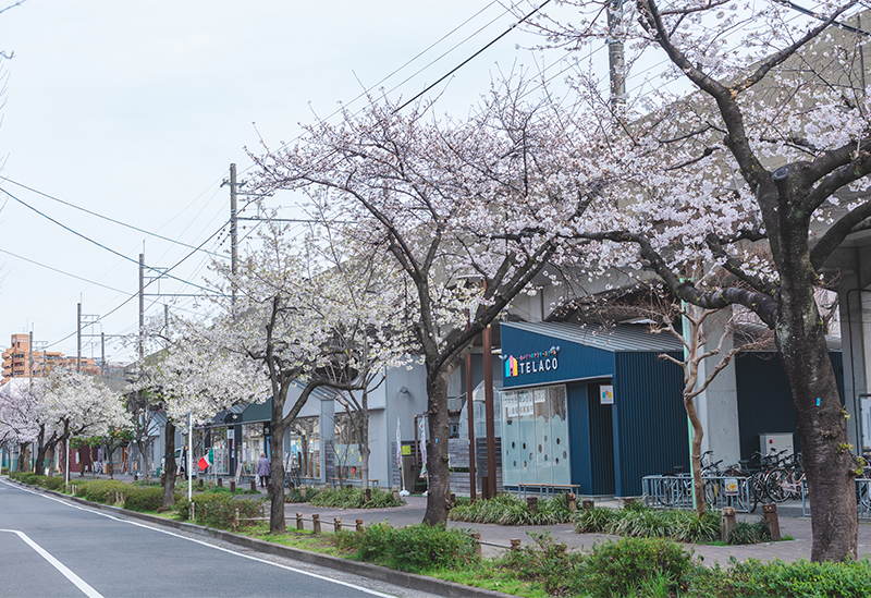 SAKUMACHI shopping street