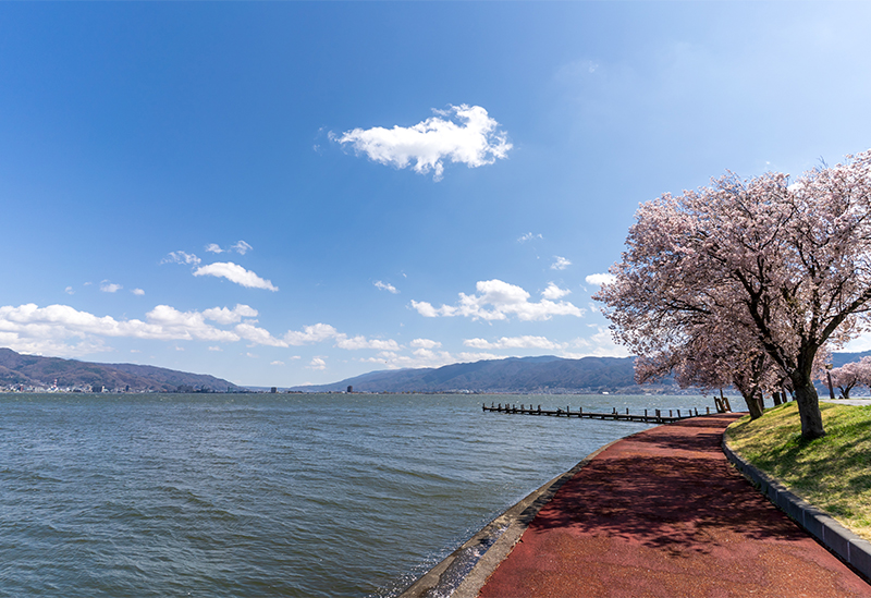 Suwa Kotsu Co., Ltd.