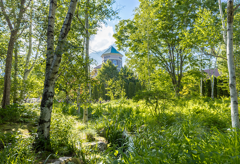 La Casta Natural Healing Garden
