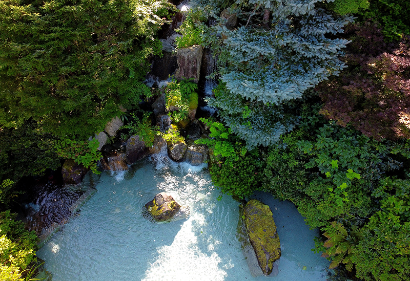 La Casta Natural Healing Garden
