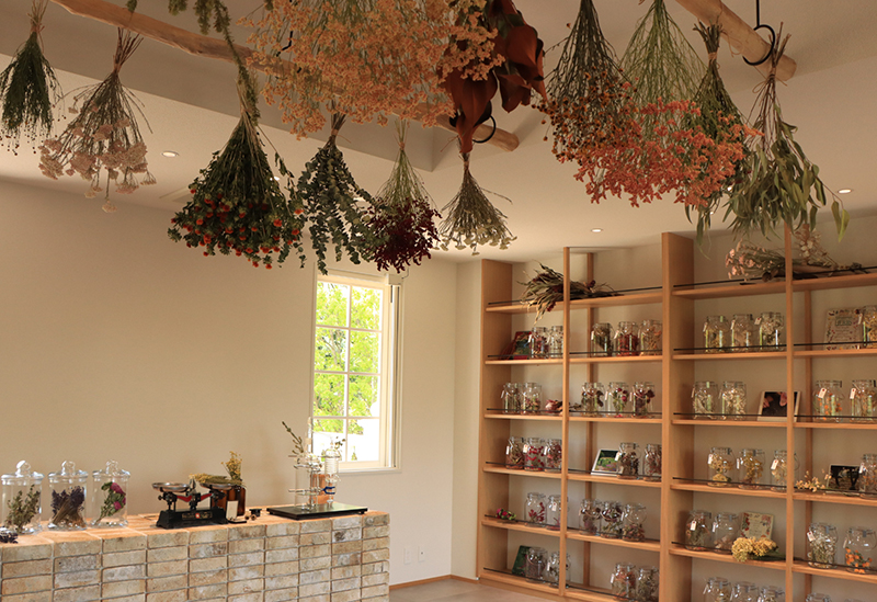 La Casta Natural Healing Garden
