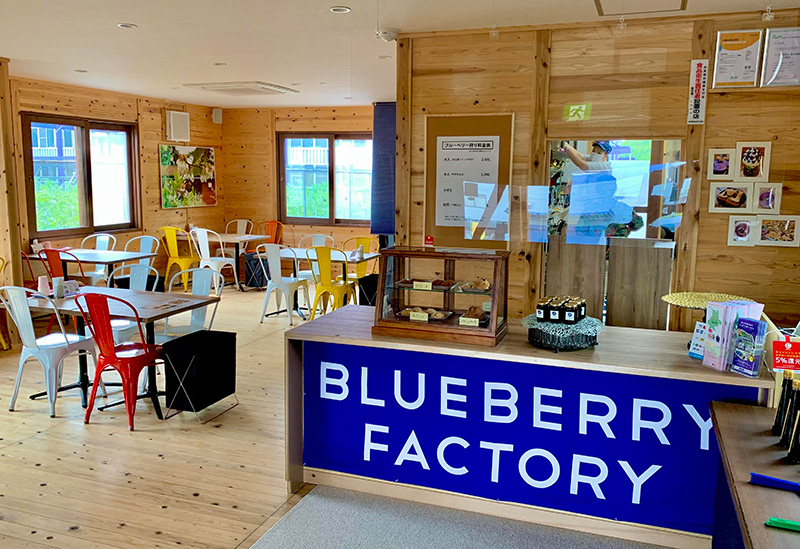 Blueberry Factory Gifu