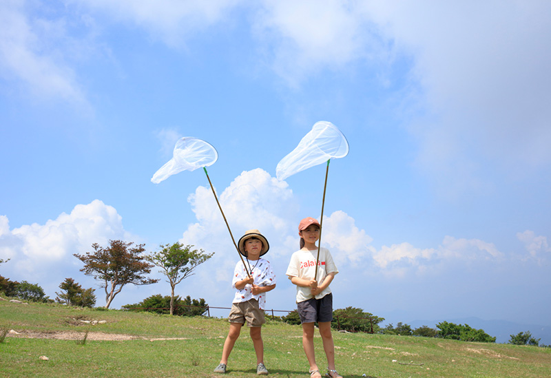 Gozaisho Ropeway