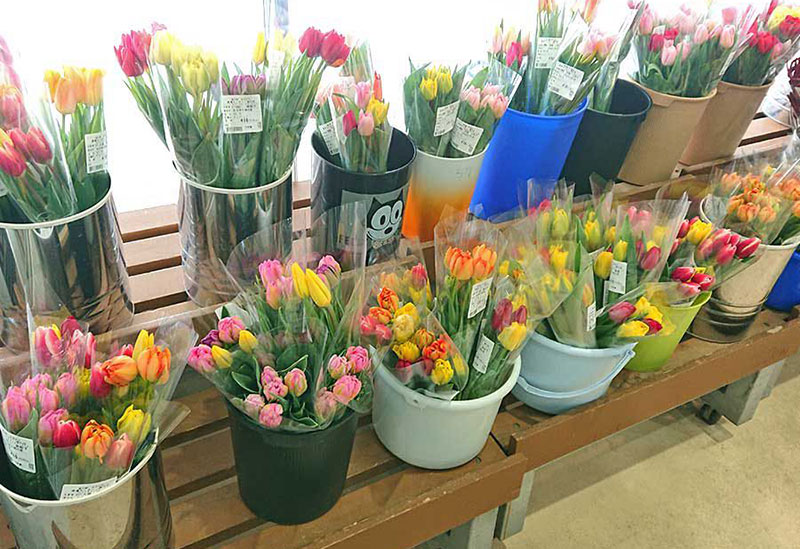 Ogata Roadside Station