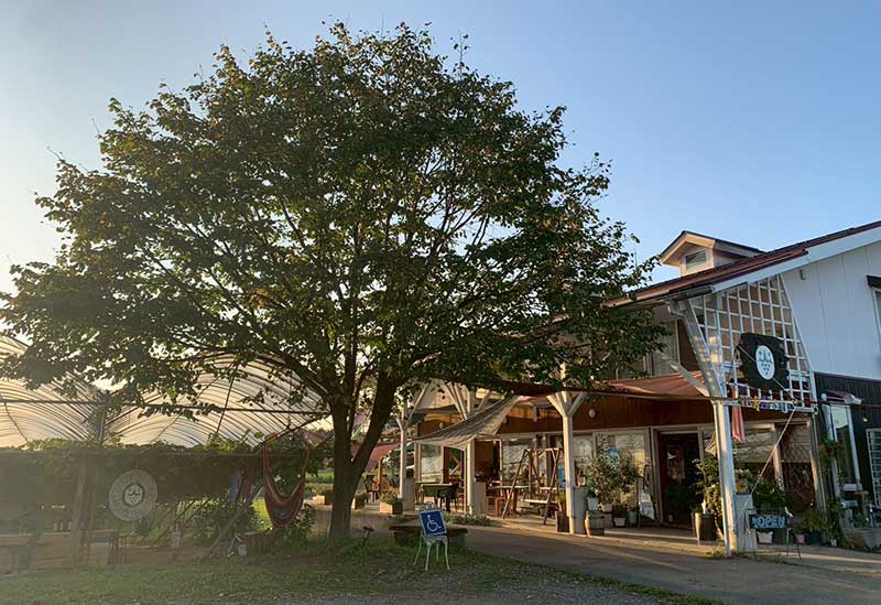 Yamafuji Grape Farm