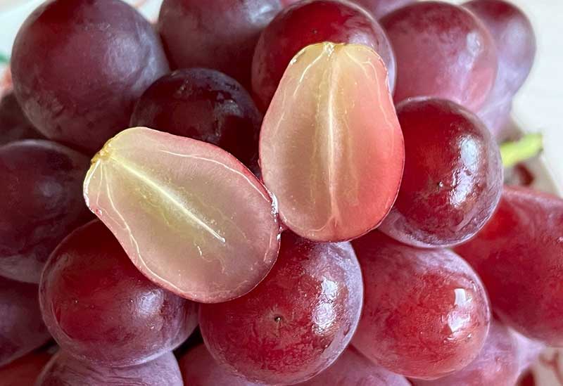 Yamafuji Grape Farm