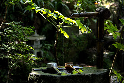 Summer image 2