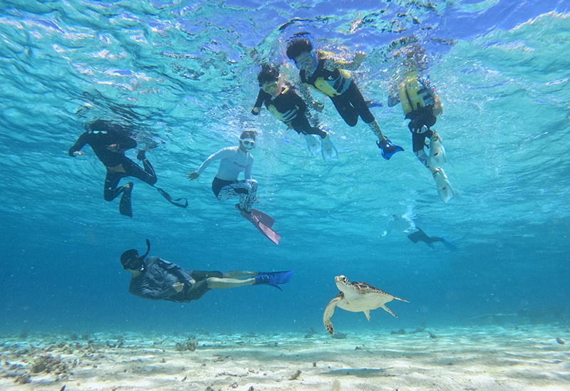 Irabu Island Guide: Bonito
