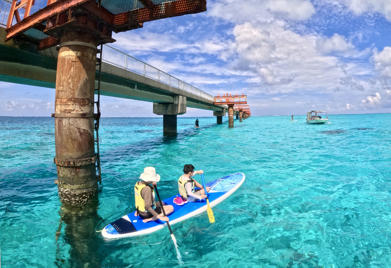 Irabu Island Guide: Bonito