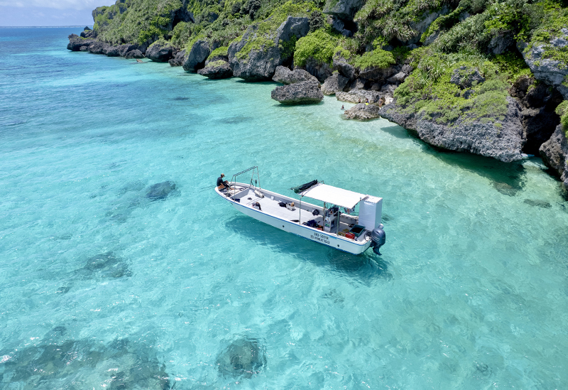 Irabu Island Guide: Bonito
