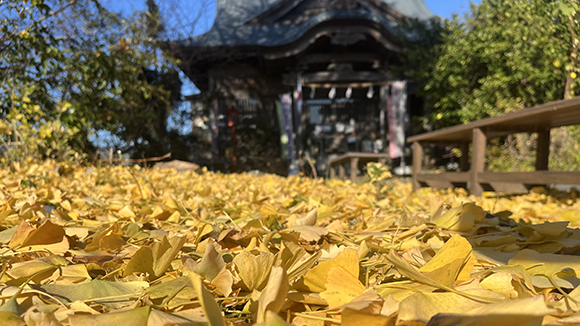 Autumn image 1