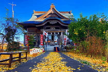 Autumn image 2