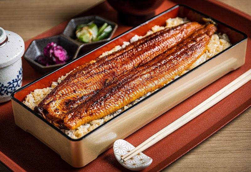 Seiryu Unagi Tsukishima , Tokyo University Akamonmae