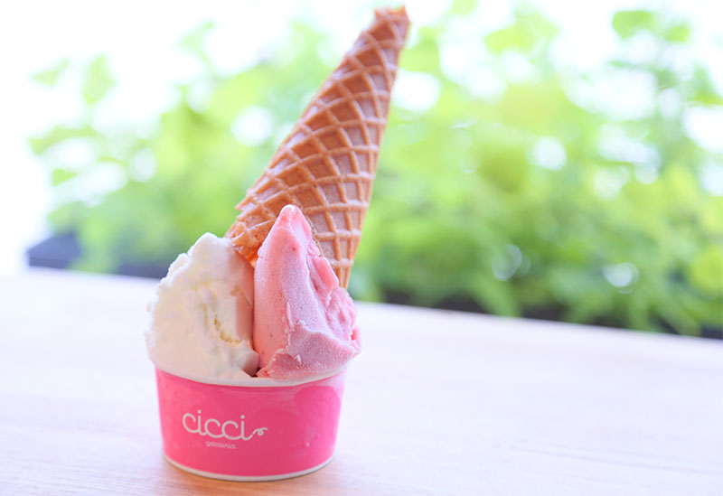 gelateria CICCI
