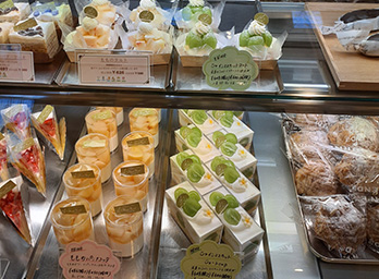 ヴァンヴェールおのみち